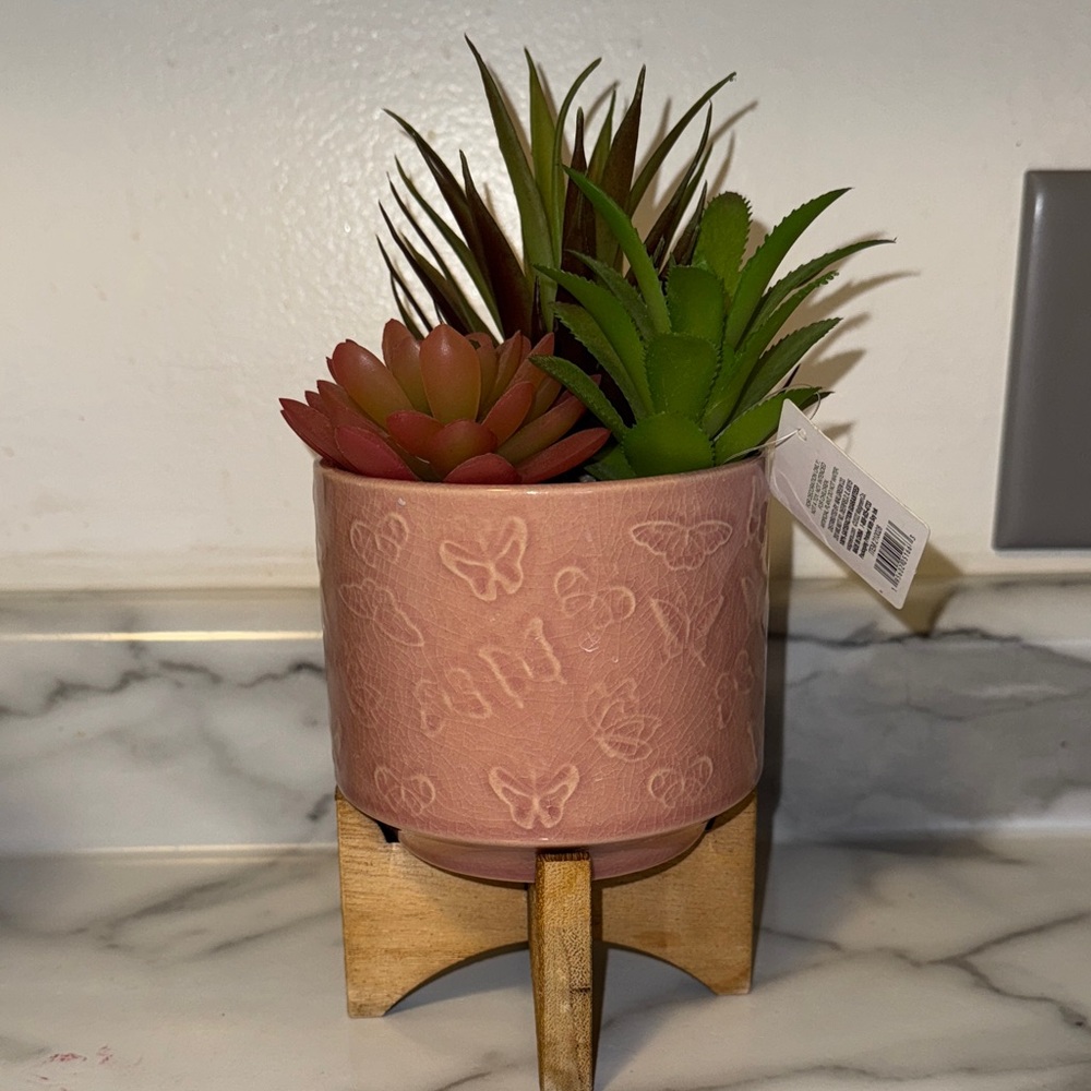 Pink Planter with Succulents